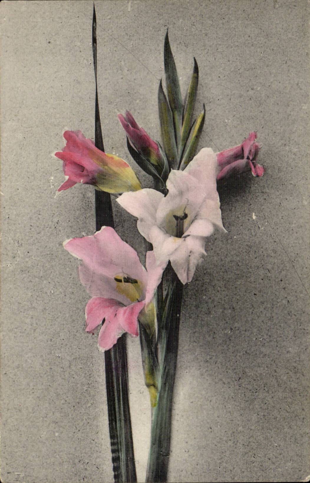 CPA Fantaisie Fleurs