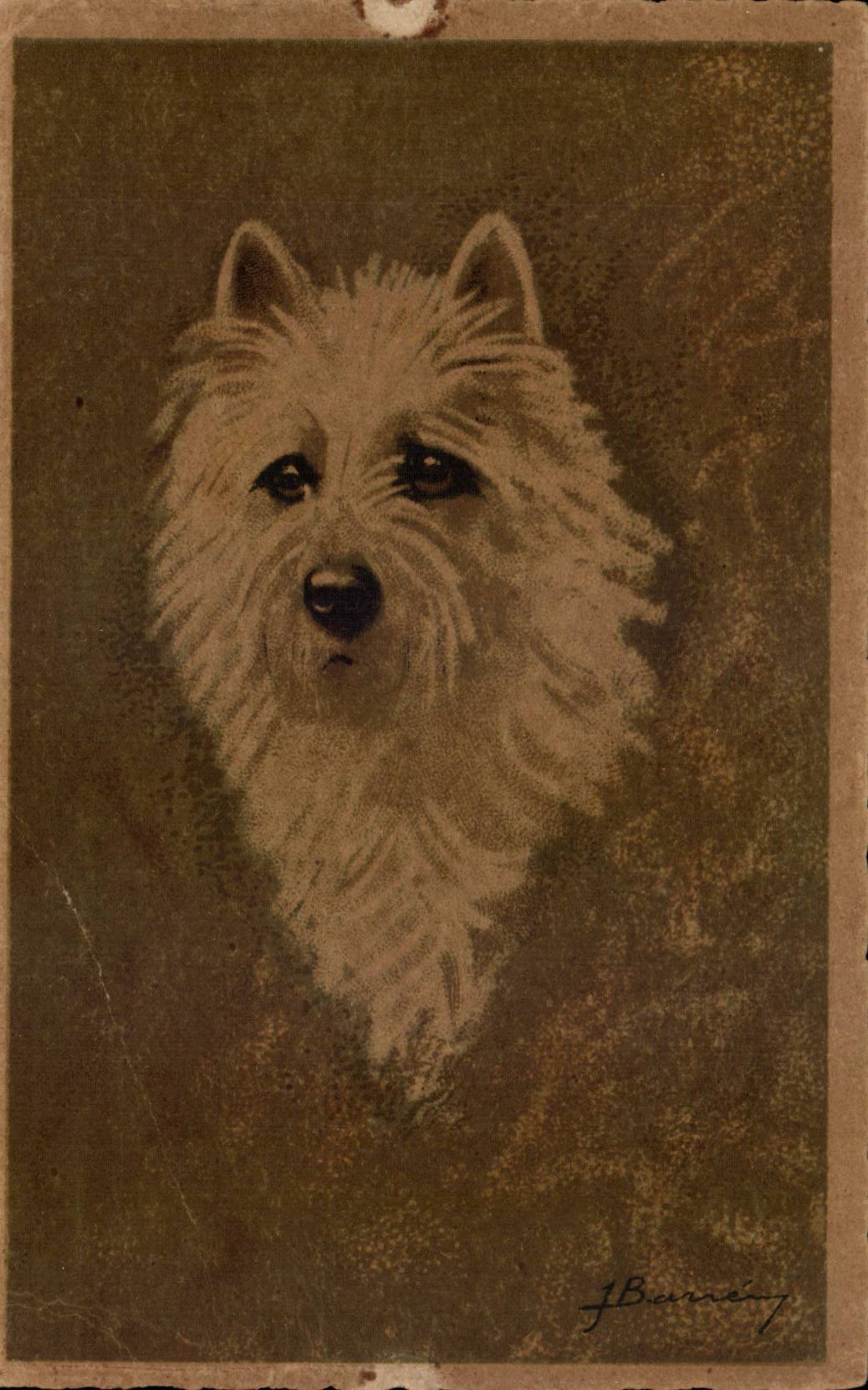 CPA Fantaisie Animaux Chiens Dogs Dog 