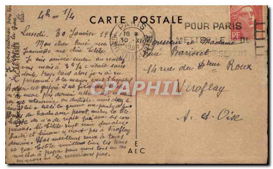CPA Fantaisie Animaux Chiens Dogs Dog  — Rückseite