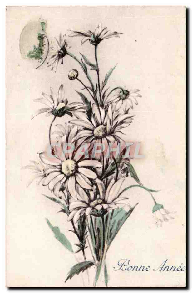 CPA Fantaisie fleur Bonne annee
