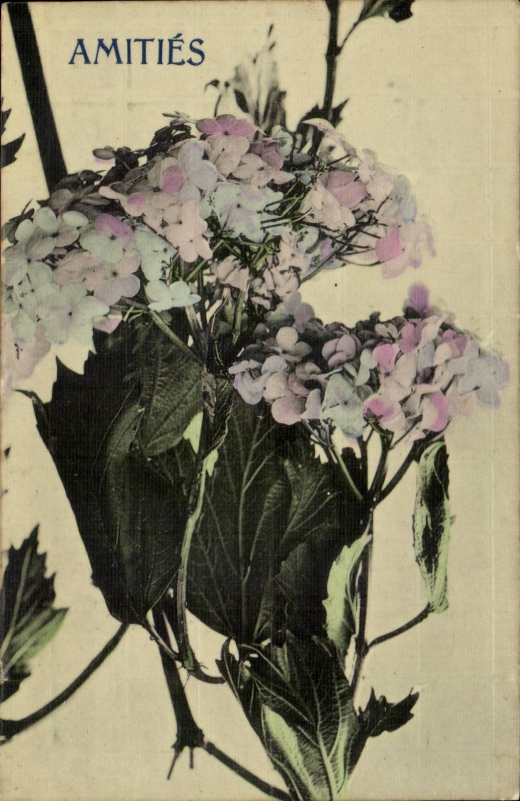 CPA Fantaisie Fleurs Amities