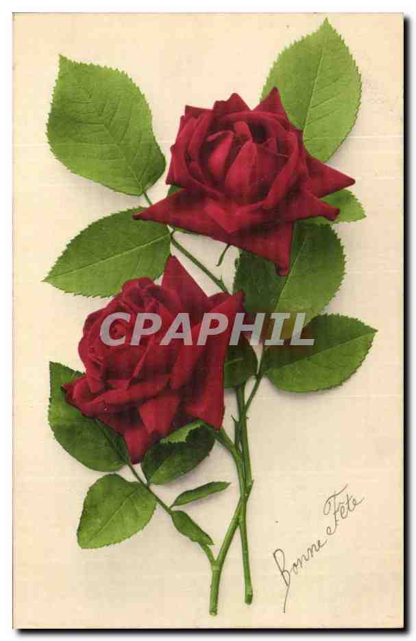 CPA Fantaisie Fleurs Roses