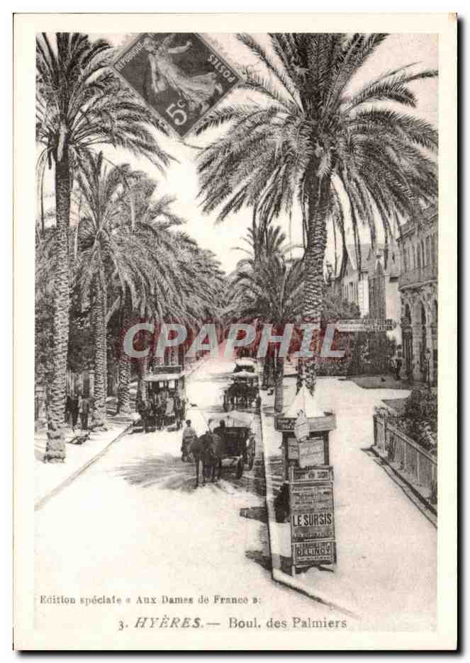 REPRODUCTION Hyeres Boulevard des palmiers