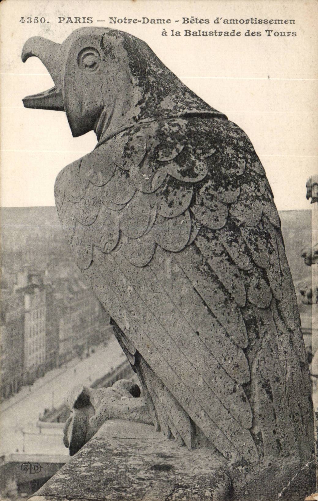 Paris CPA Notre dame Betes d'amortissement a la balustrade des tours