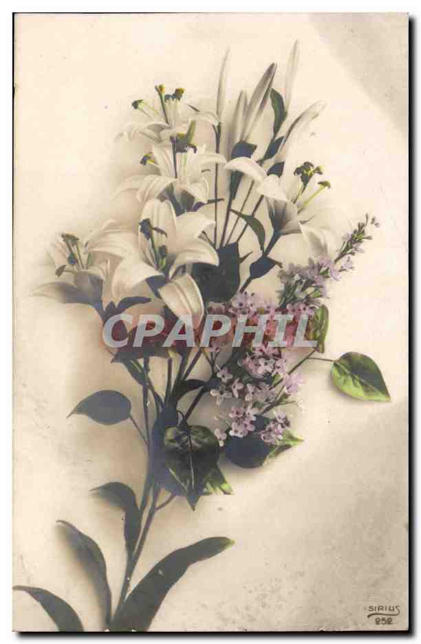CPA Fantaisie Fleurs
