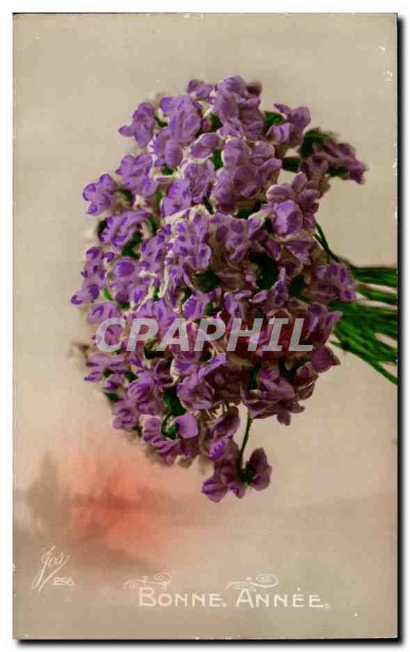 CPA Fantaisie Fleurs Bonne anne