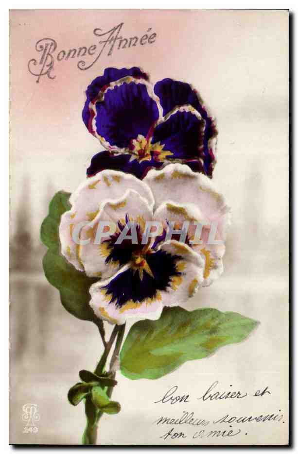 CPA Fantaisie Fleurs Bonne annee