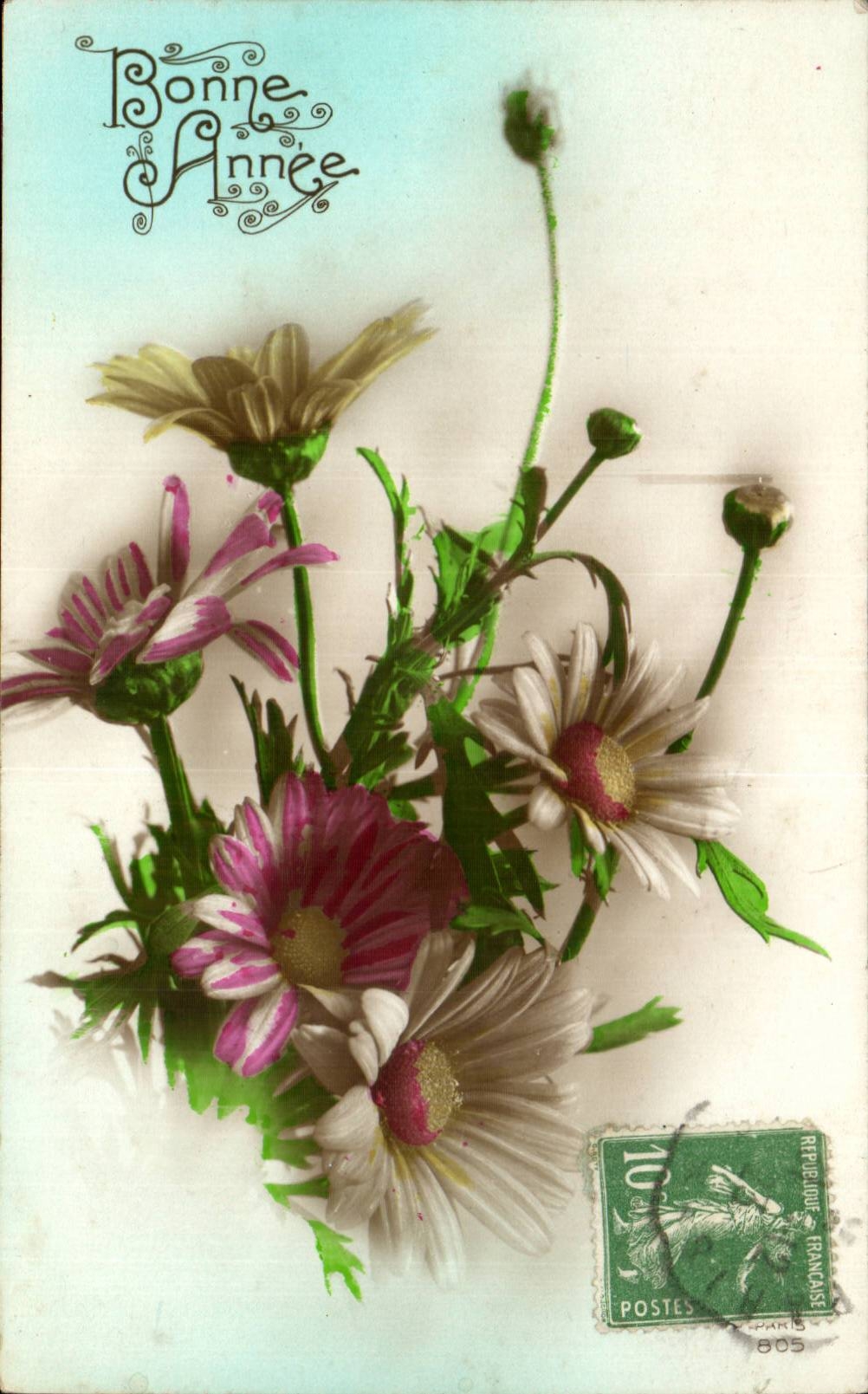 CPA Fantaisie Fleurs Bonne annee