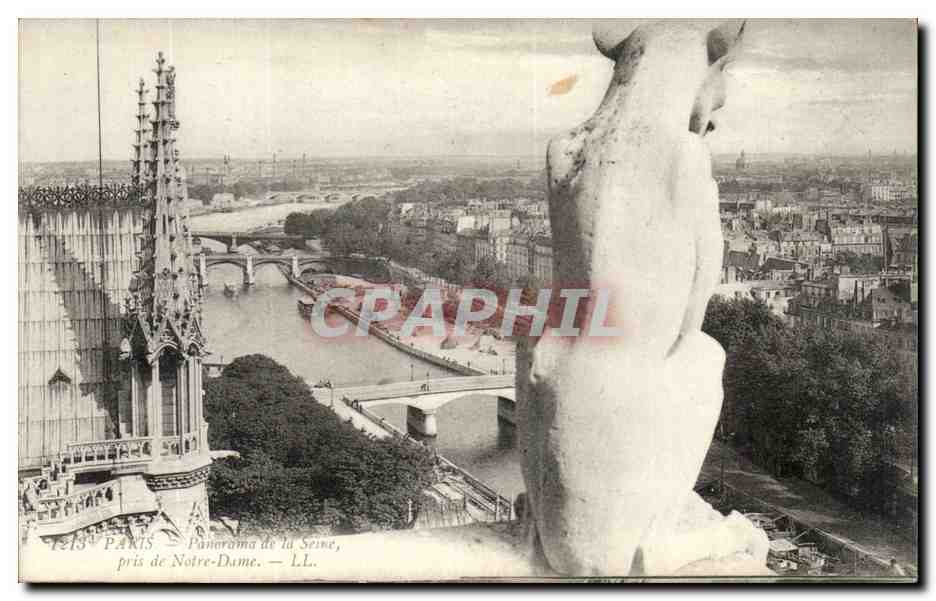 Paris - 4 - Panorama de la Seine pris du Notre Dame - Chimere - CPA 