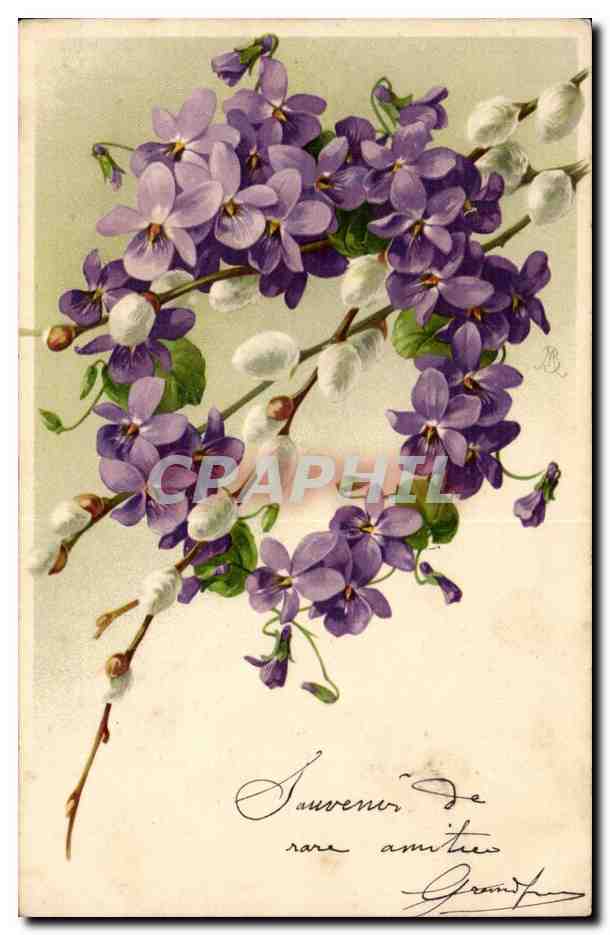 Fantaisie - Fleurs - heart wreath of purple flowers - CPA 