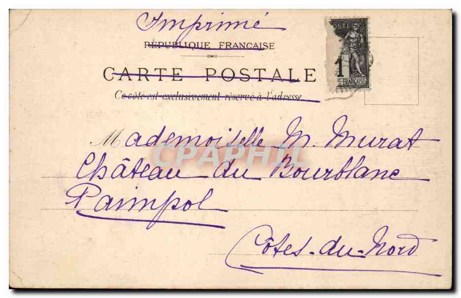 Fantaisie - Couple - Declaration Interrompue - parrot - papagei - perroquet - CPA  — Rückseite