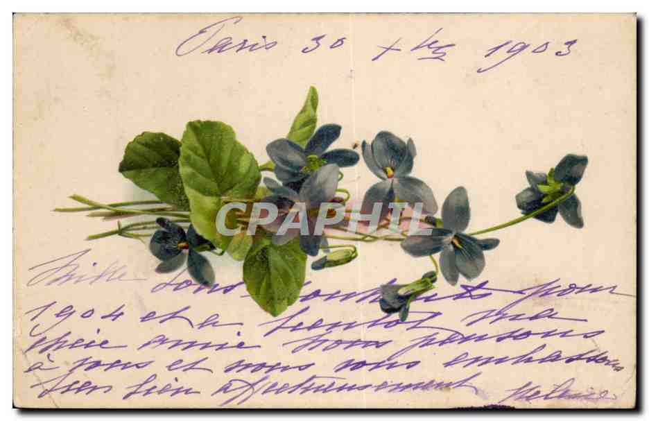 Fleurs - 1903 - Blossoming purple flowers - CPA 
