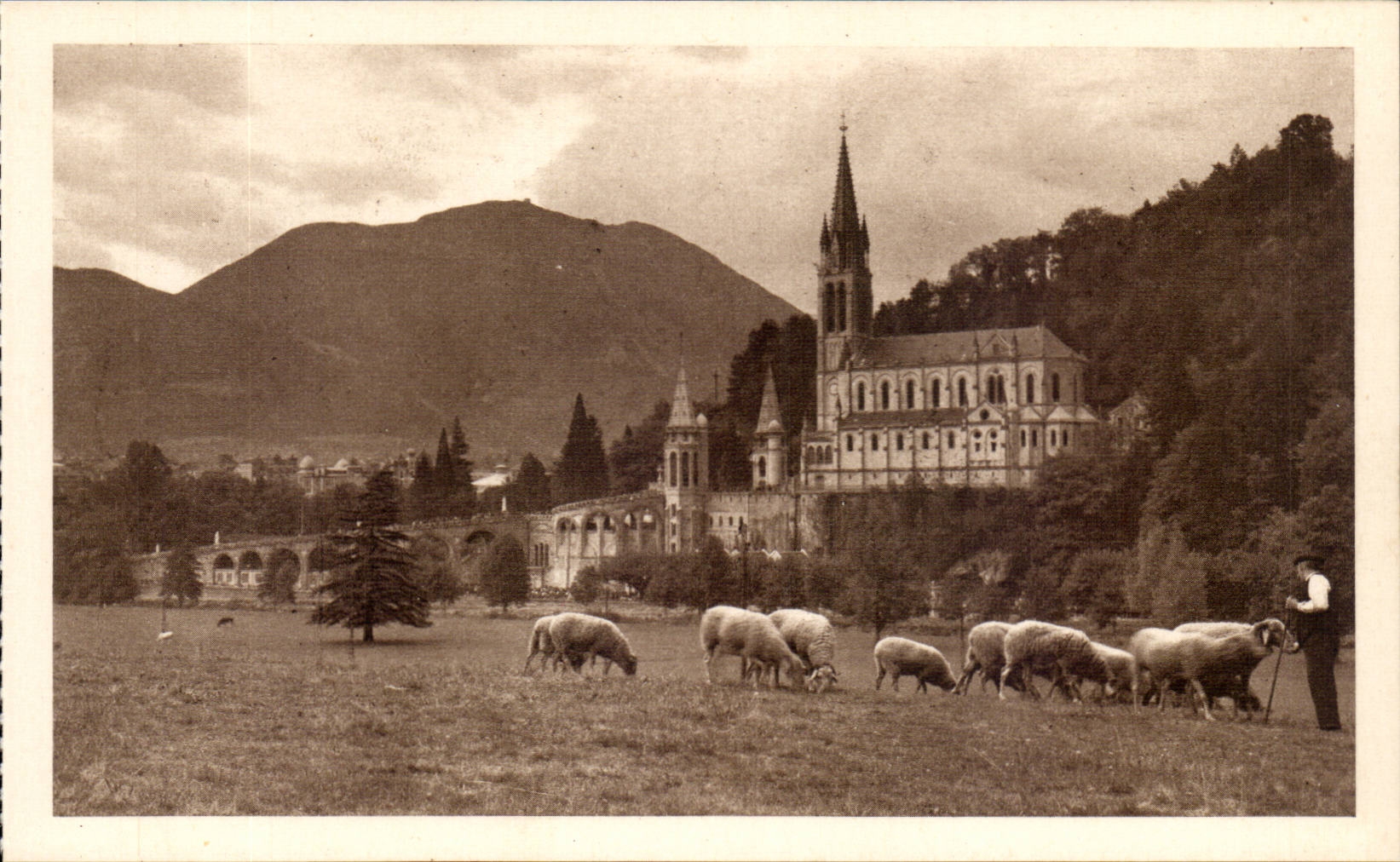 Lourdes - La Basilique - Vue de la Prairie de la Grotte - CPA 