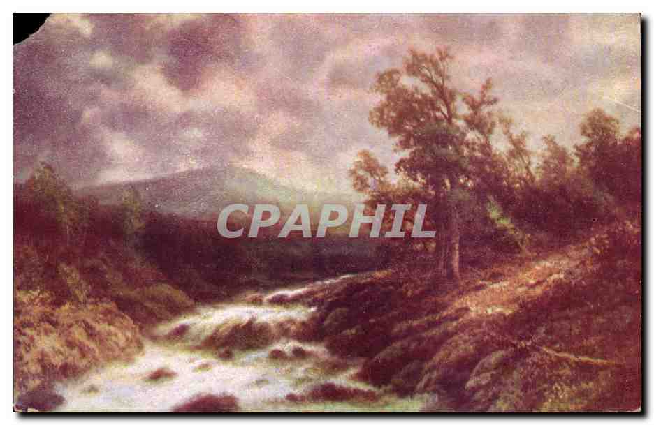 Plantes - Arbres - Pastoral Scene - CPA 