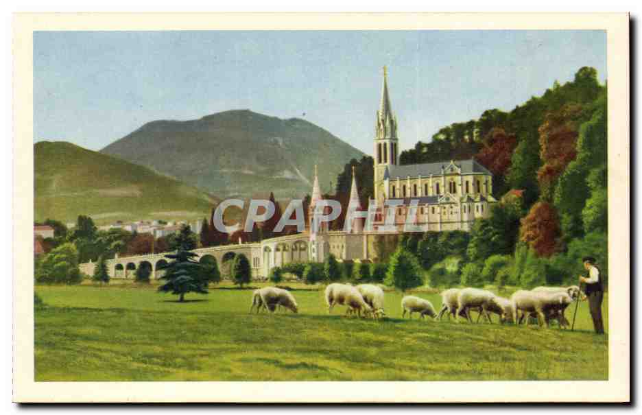 Lourdes - La Basilique - Vue de la Prairie de la Grotte - CPA 