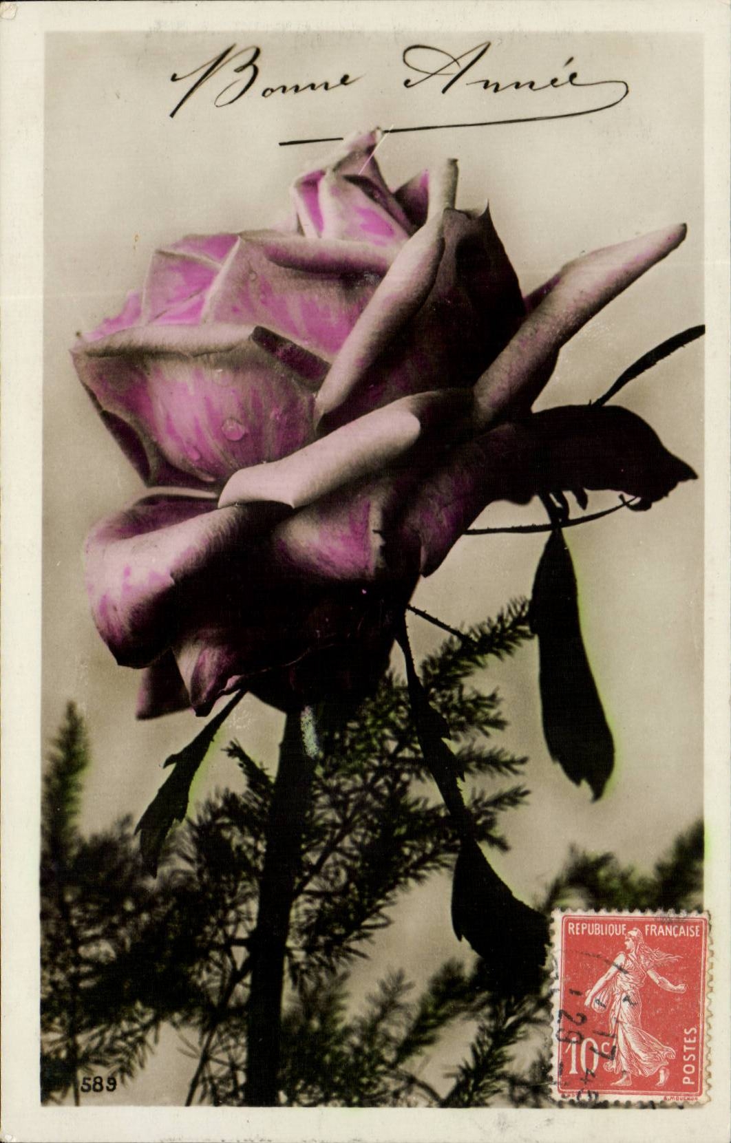 CPA Fantaisie Rose Fleur Bonne Annee