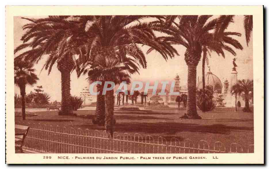 Nice CPA Palmiers du jardin public 