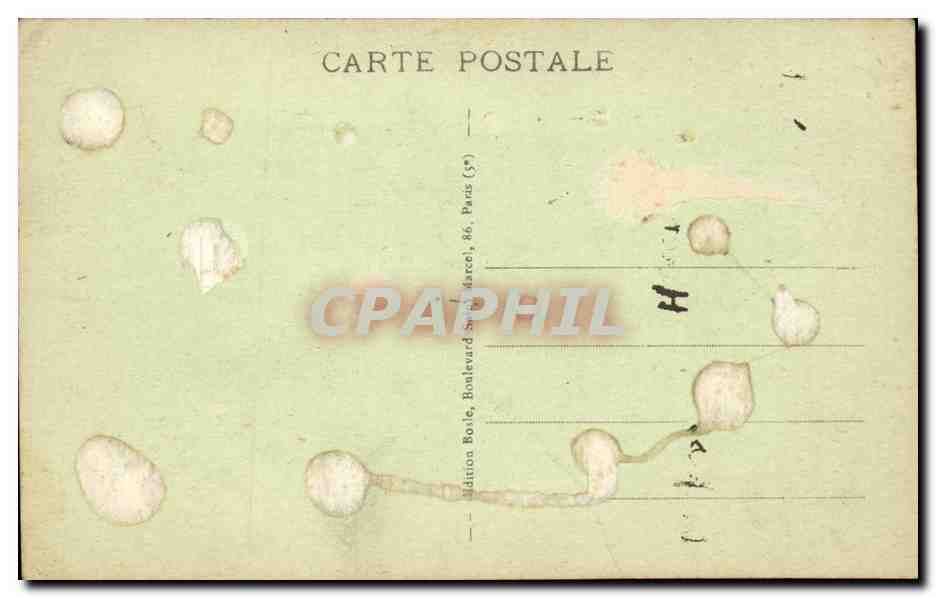 Paris CPA Museum d'histoire naturelle Marabout d'afrique (oiseau) — Rückseite