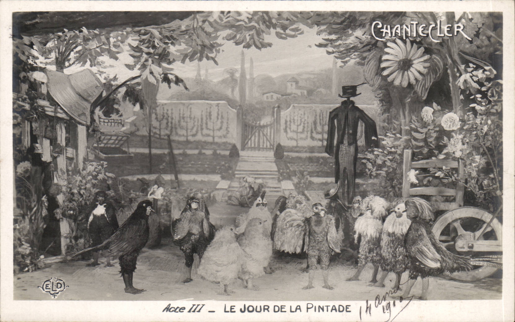 CPA Fantaisie Chantecler Acte III le jour de la pintade