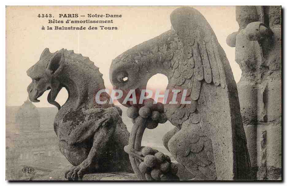 Paris CPA Notre Dame Bete d'amortissement a la balustrade des tours