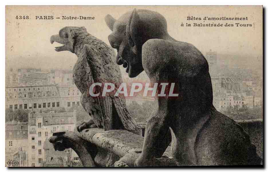 Paris CPA Notre Dame Betes d'amortissement a la balustrade des tours