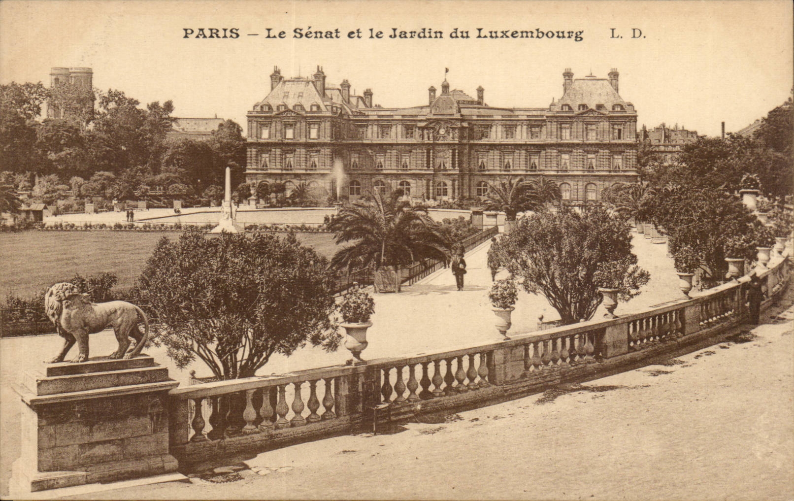 CPA Paris Le Senat et le jardin du Luxembourg