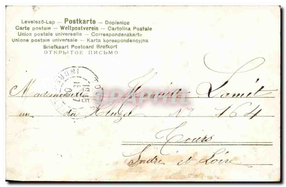 CPA Fantaisie Fleur Souvenir (brillants incrustes) — Verso