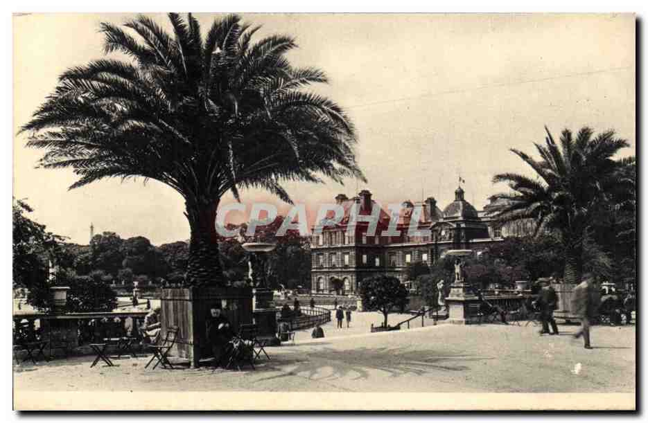 Paris CPA Palais du Senat et Jardin du Luxembourg