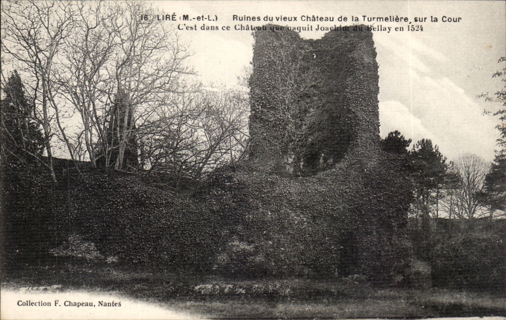 Lire CPA Ruines du vieux chateau de la Turmeliere sur la Cour 
