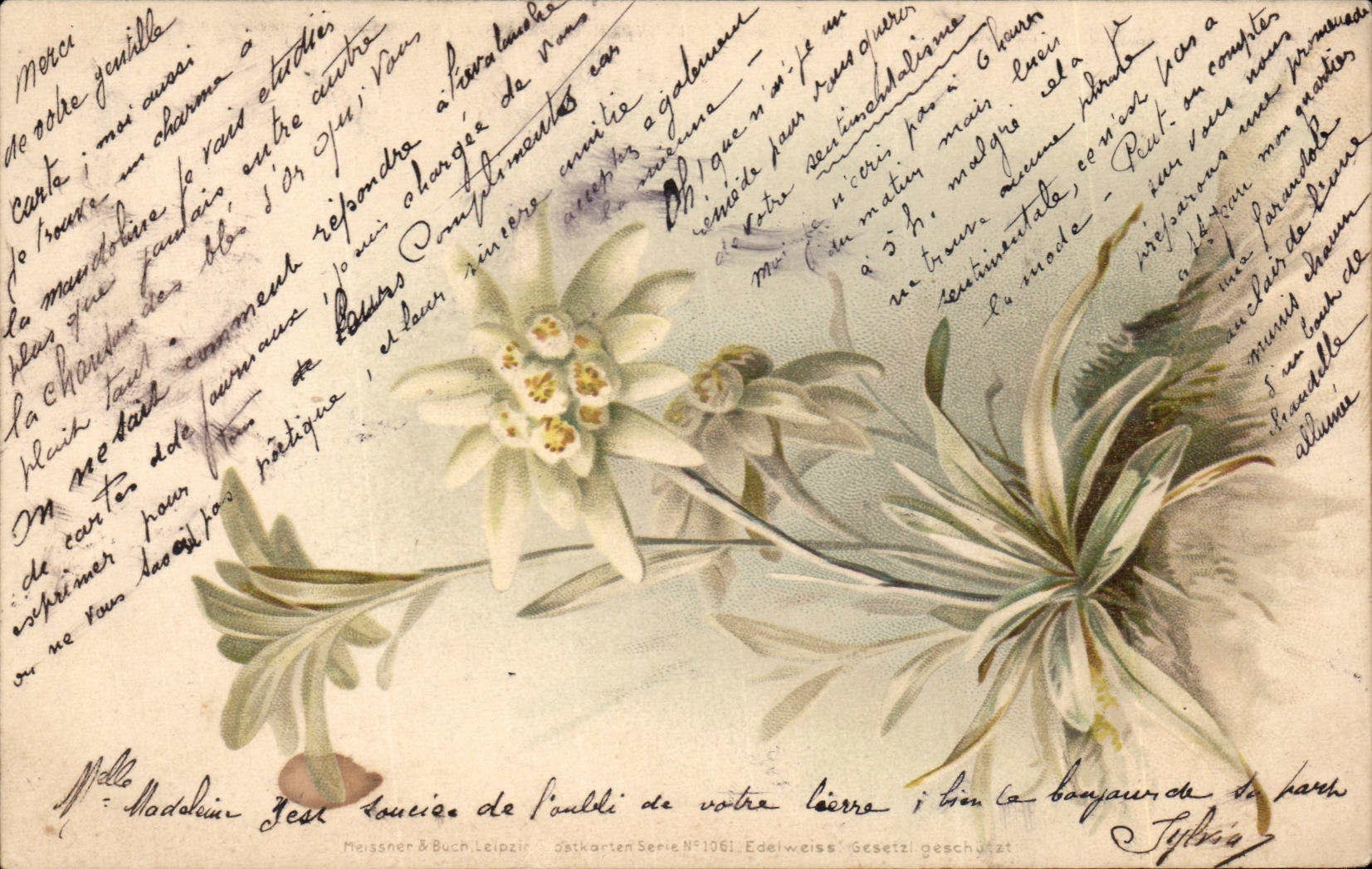 CPA FAntaisie Fleurs 