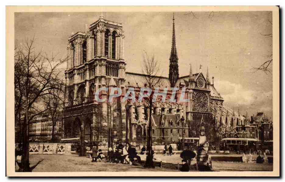 Paris CPA Notre Dame vue du square St Julien le pauvre