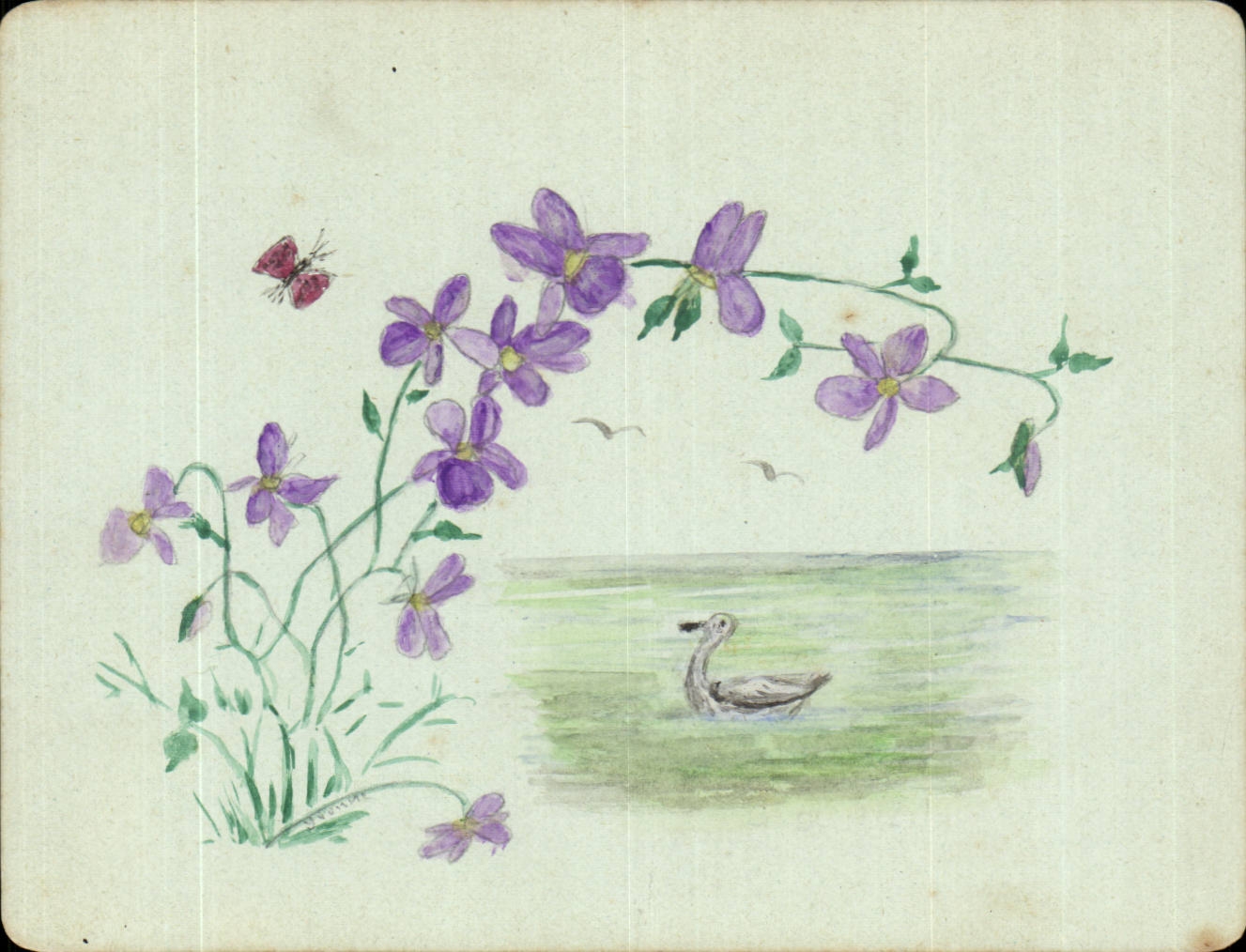 Dessin a la main format carte postale Canard (duck) et papillon (butterfly)