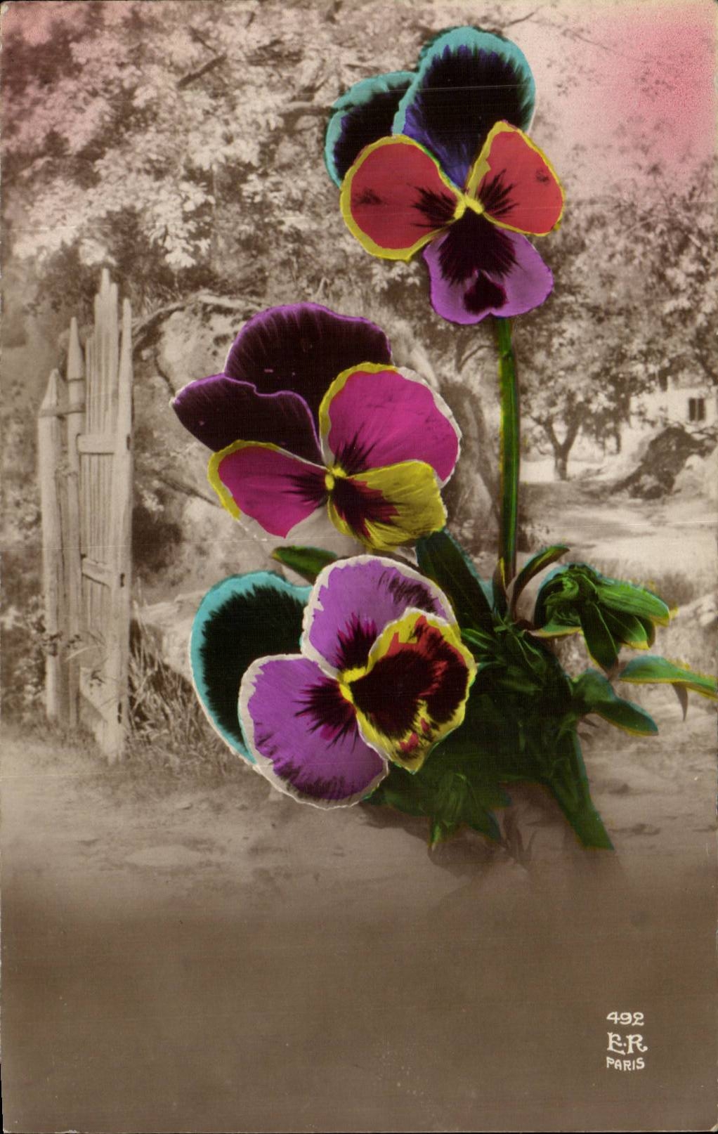 CPA Fantaisie Fleurs