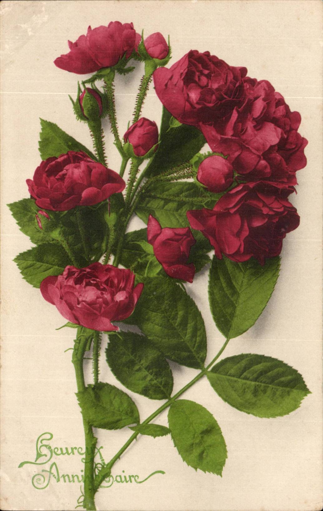 CPA Fantaisie Fleurs Heureux anniversaire Roses