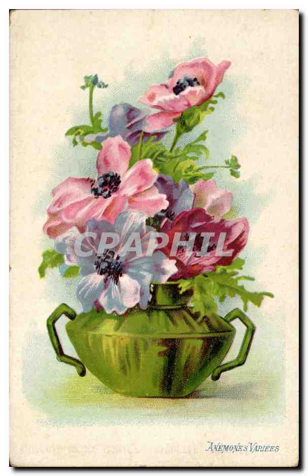CPA Fantaisie Fleur Anemones variees