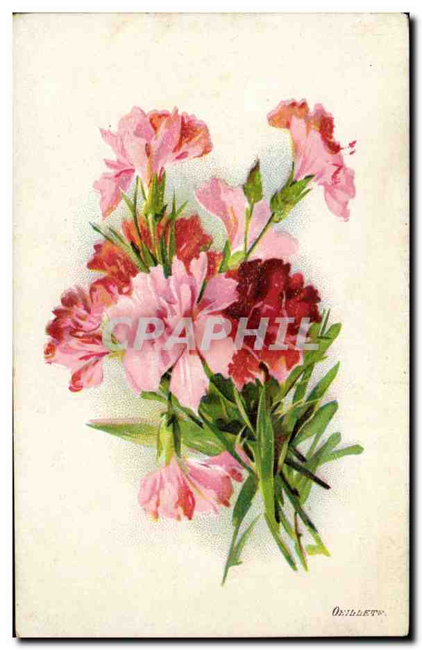 CPA Fantaisie Fleur Oeillets