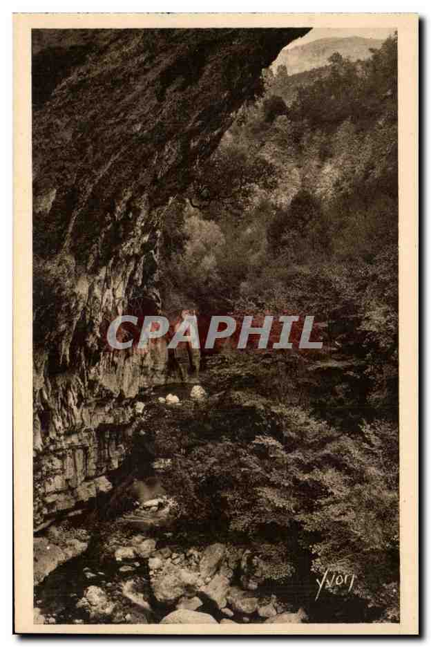 CPA Gorges du loup (wolf)