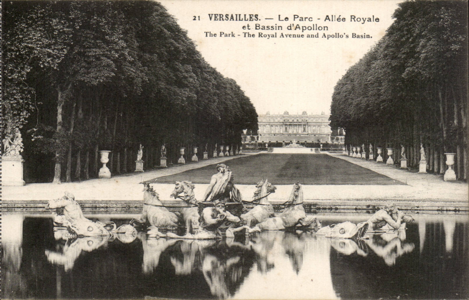 CPA Versailles Le parc Allee royale et bassin d'Apollon