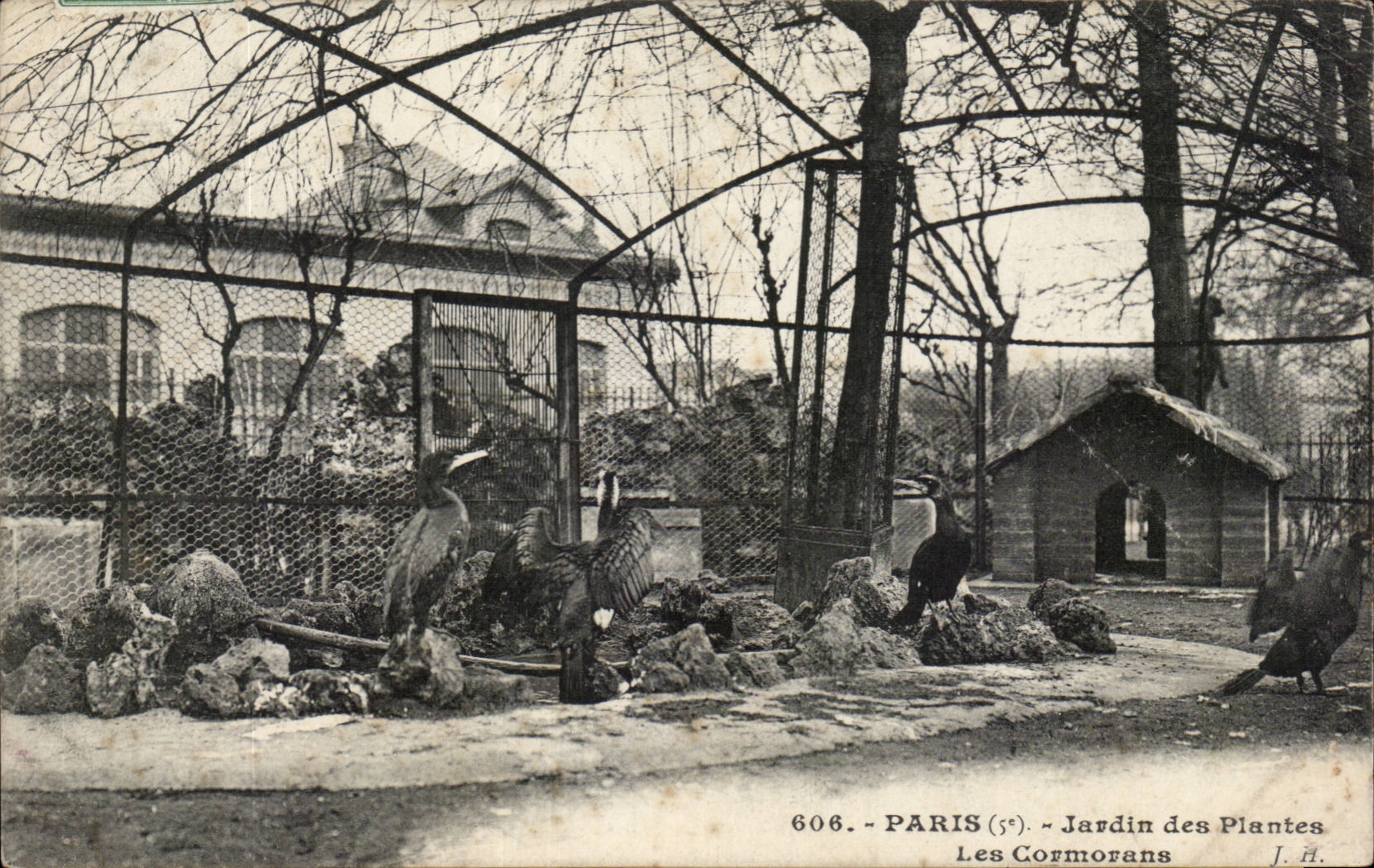 Paris - 5 - Jardin des Plantes - Les Commorans -- CPA 