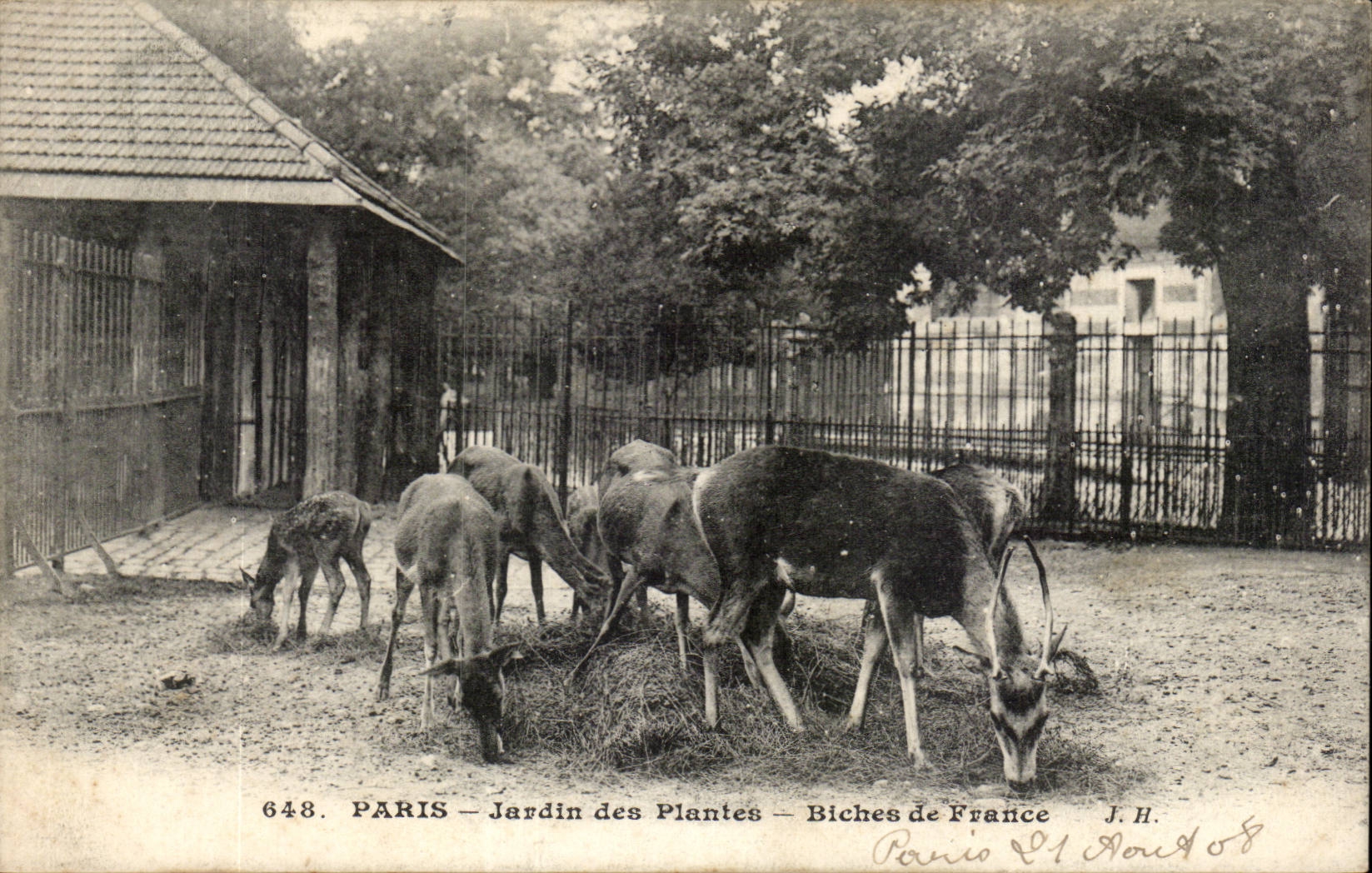 Paris - 5 - Jardin des Plantes - Biches de France - Deer - CPA 