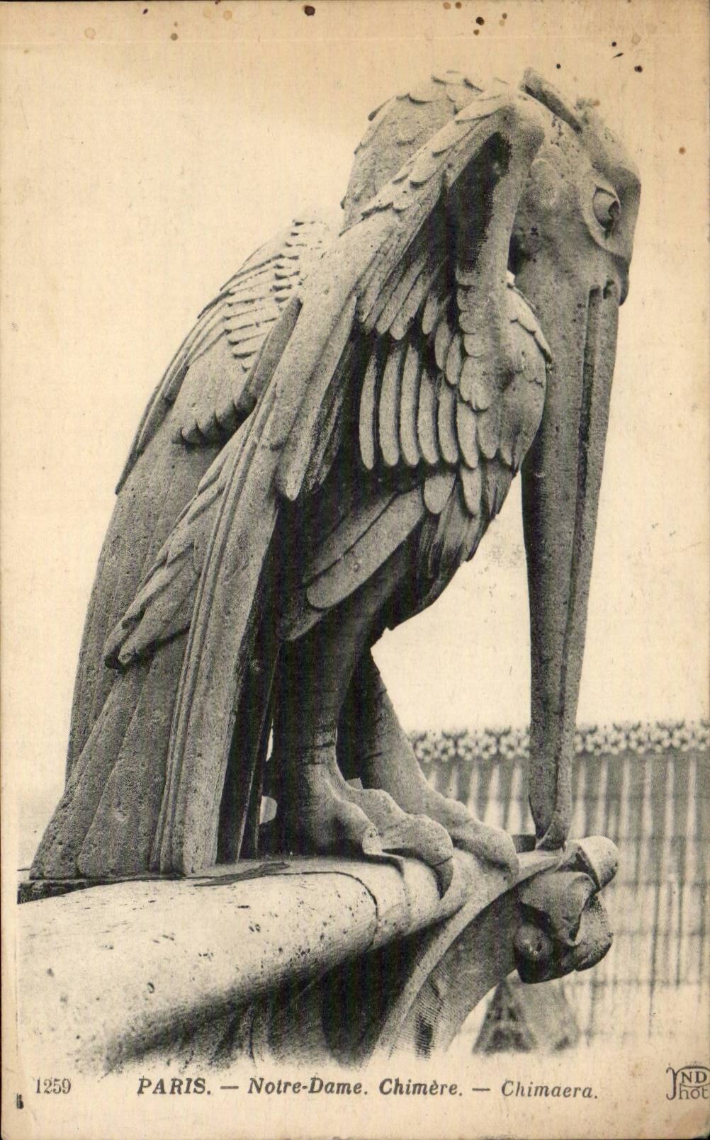 Paris - 4 - Notre Dame - Chimere - Chimoera - Gargoyle - Pelican - CPA 