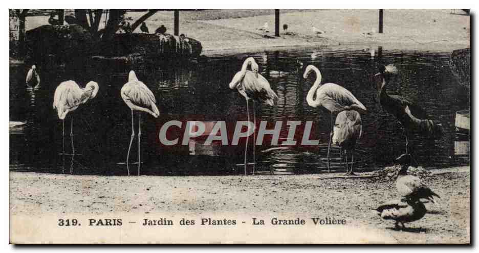 Paris - 5 - Jardin des Plantes - La Grande Voliere - CPA 