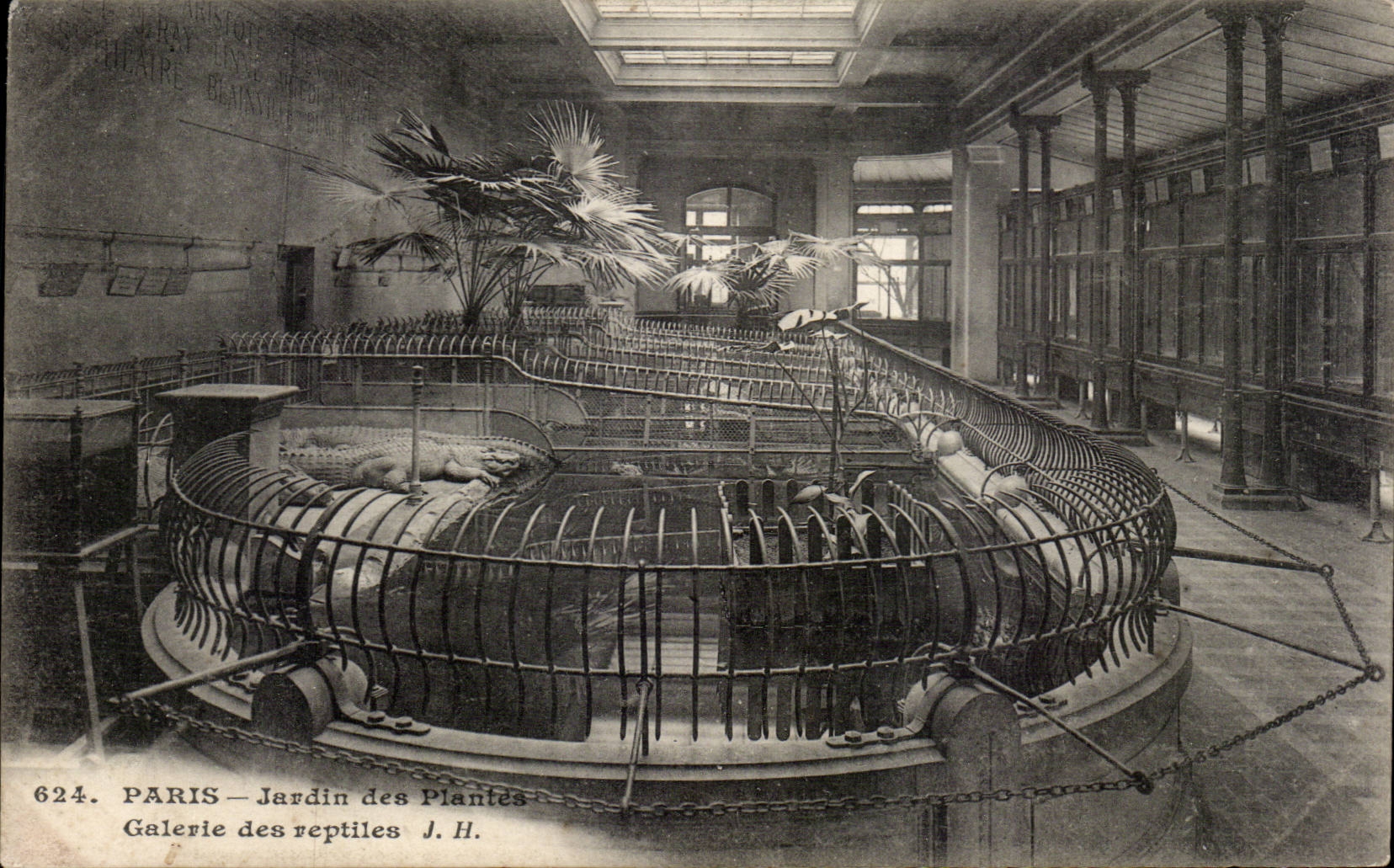 Paris - 5 - Jardin des Plantes - Galerie des Reptiles - Reptile CPA 