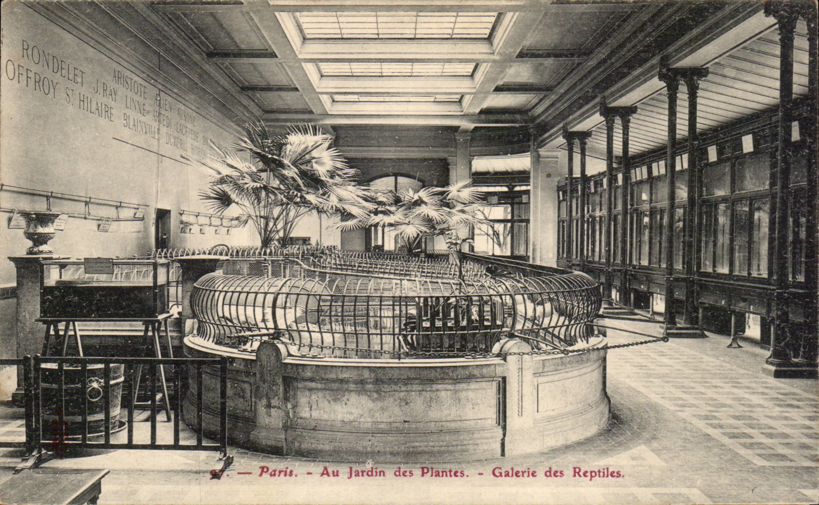 Paris - 5 - Jardin des Plantes - Galerie des Reptiles - Reptile CPA - 