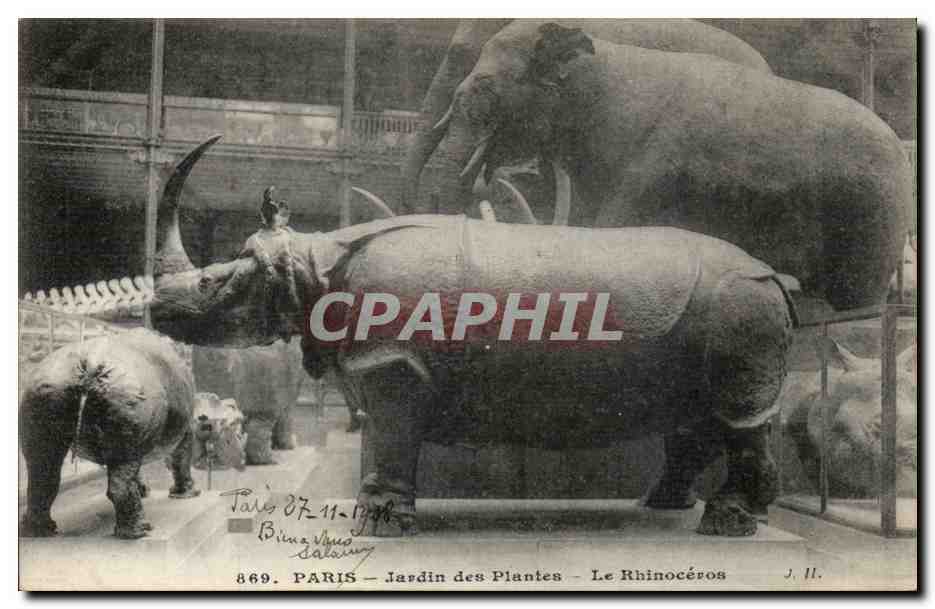 Paris - 5 - Jardin des Plantes - Le Rhinoceros CPA - 