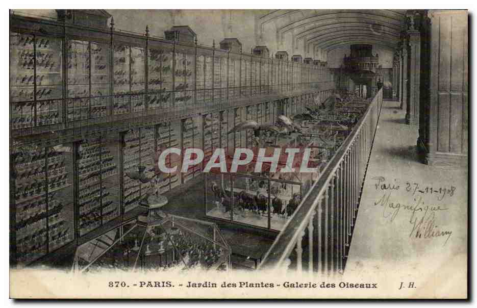 Paris - 5 - Jardin des Plantes - Galerie des Oiseaux - Birds CPA - 