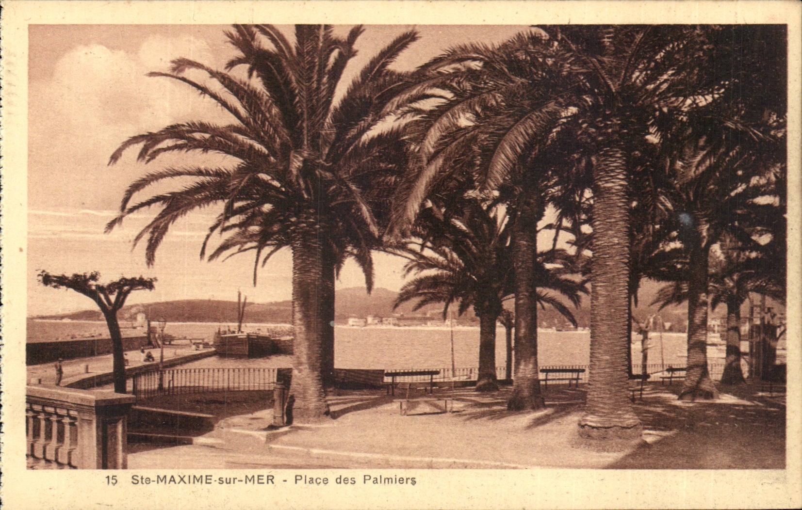 Ste Maxime sur Mer - Place des Palmiers - CPA 