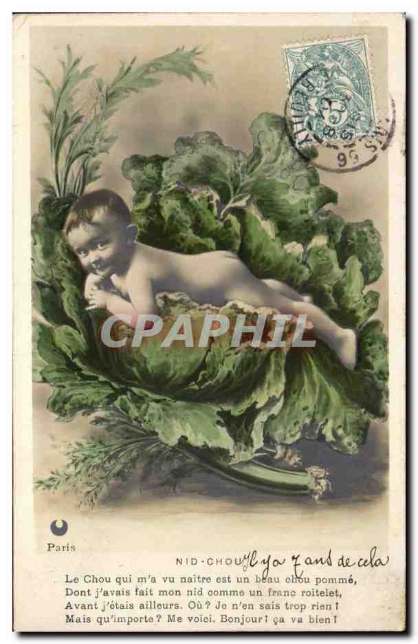 Fantaisie - Enfant - Bebe - Chou - Little baby growing from cabbage- CPA 