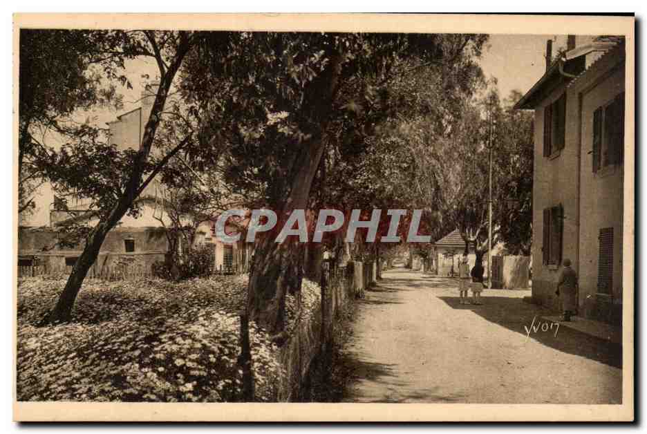 Les Iles d'Hyères - Porquerolles - La Rue Principale — Éditions d'Art Yvon, n°11/319