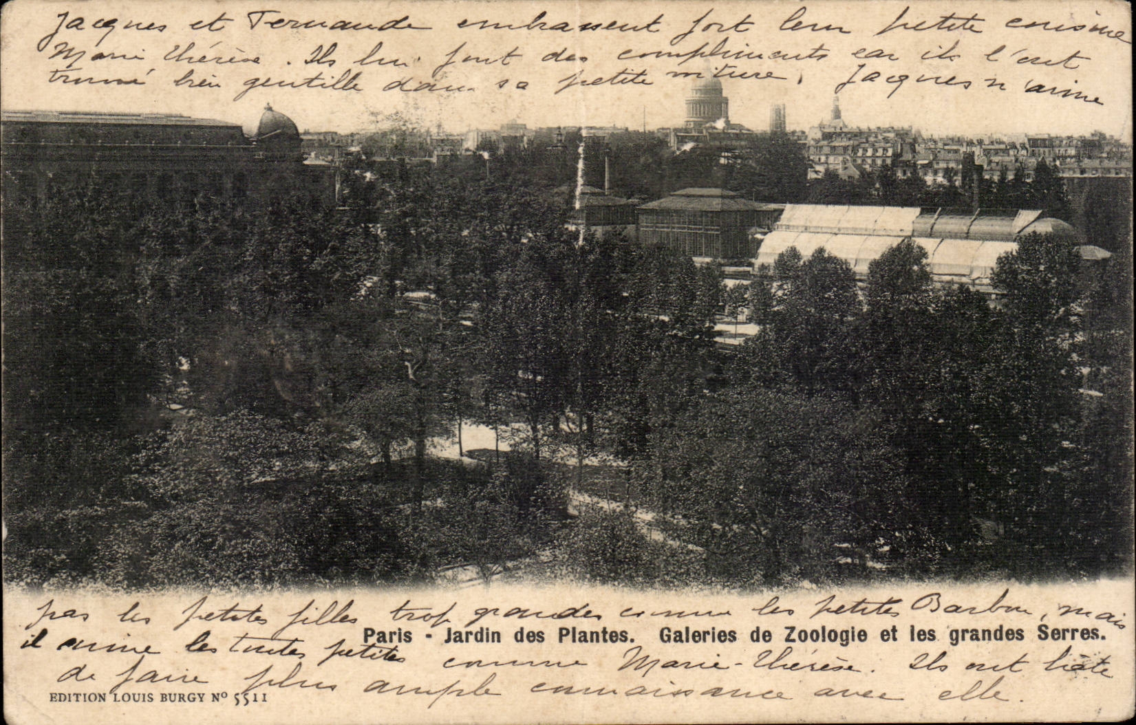 Paris CPA Jardin des plantes Galerie de zoologie et les grandes serres